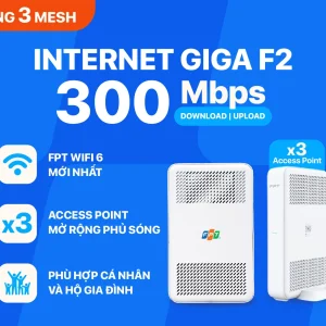 INTERNET GIGA F2