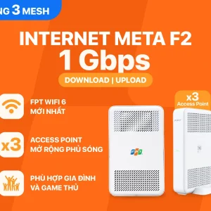 INTERNET META F2