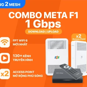 COMBO META F1